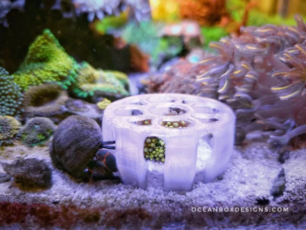 Jack-O-Barrel-Softies-Saver-OceanboxDesigns-2