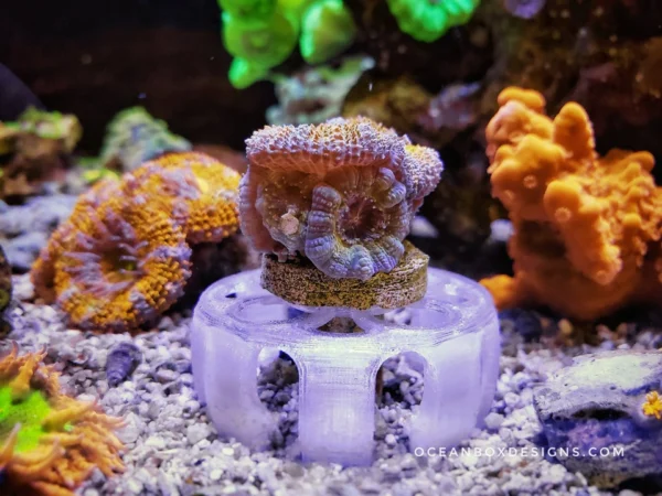 Jack-O-Barrel-Softies-Saver-OceanboxDesigns-3