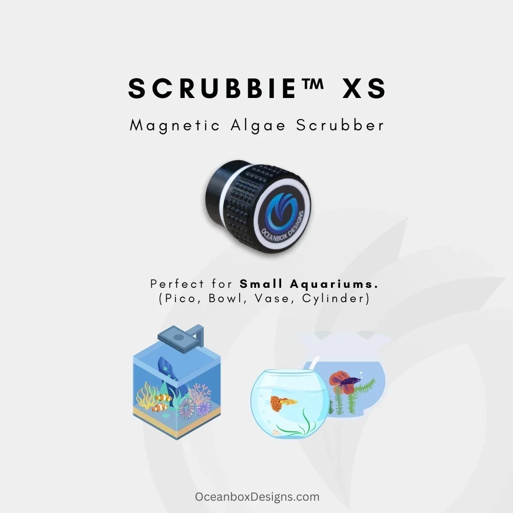 Scrubbie-XS-Pico-Aquarium-Magnetic-Algae-Scrubber-OceanboxDesigns-1
