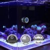 Scrubbie-XS-Pico-Aquarium-Magnetic-Algae-Scrubber-OceanboxDesigns-8