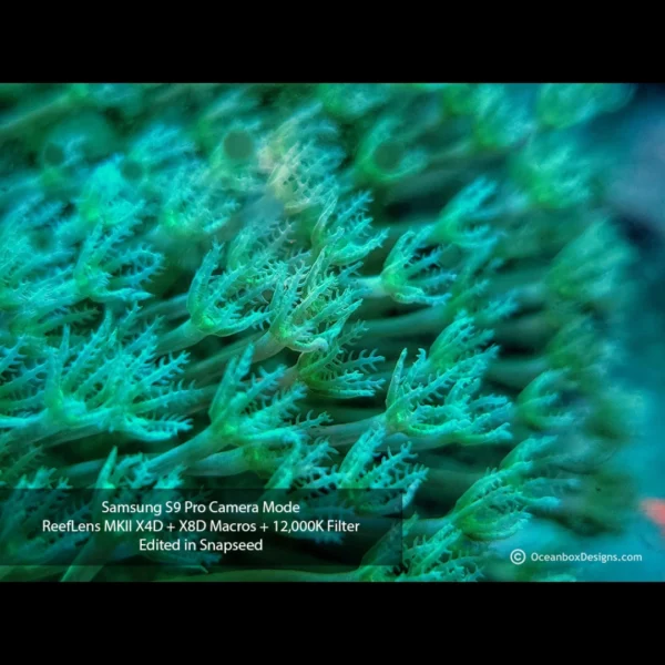 ReefLens-MKII-PRO-Photo3-OceanboxDesigns