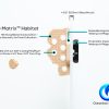 PolyRok-Bio-Matrix-Magnetic-Frag-Rack-3-OceanboxDesigns
