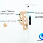 PolyRok-Bio-Matrix-Magnetic-Frag-Rack-3-OceanboxDesigns