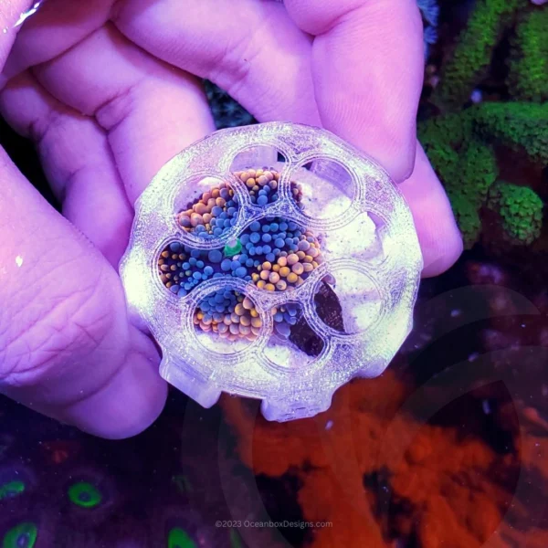 Jack-O-Lantern-Softies-Saver-Kit-OceanboxDesigns-04