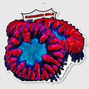 Blastomussa Wellsi Comic Inspired Sticker 3.5x3.2"