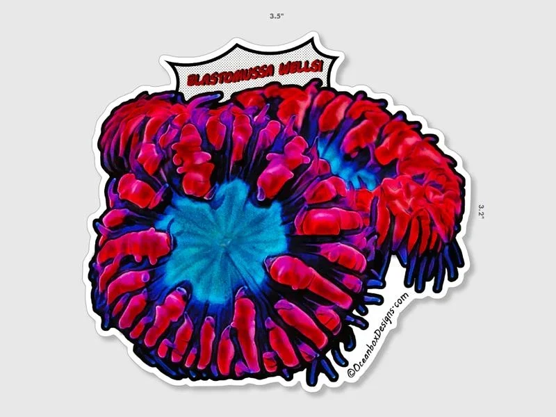 Blastomussa-Wellsi-NFT3532-OceanboxDesigns
