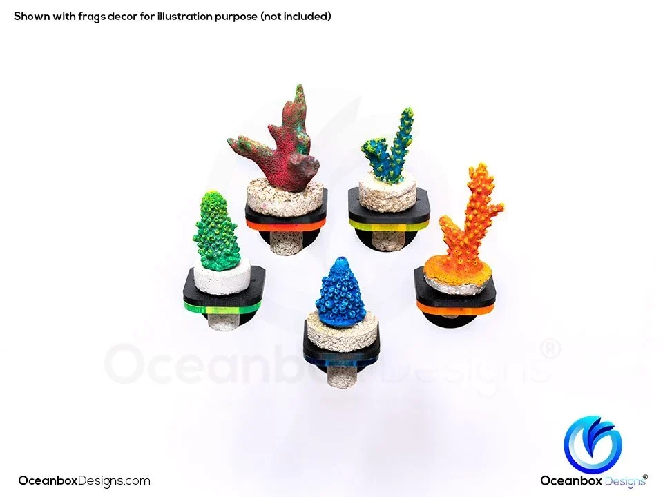 CoralOne-GLO-OceanboxDesigns-1