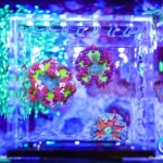 DSC04980