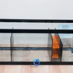 IMG_5113