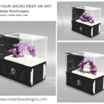 MicroTank-P1G-Reefscapes-Collage-OceanboxDesigns