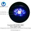 Q2M-Led-Light-OceanboxDesigns
