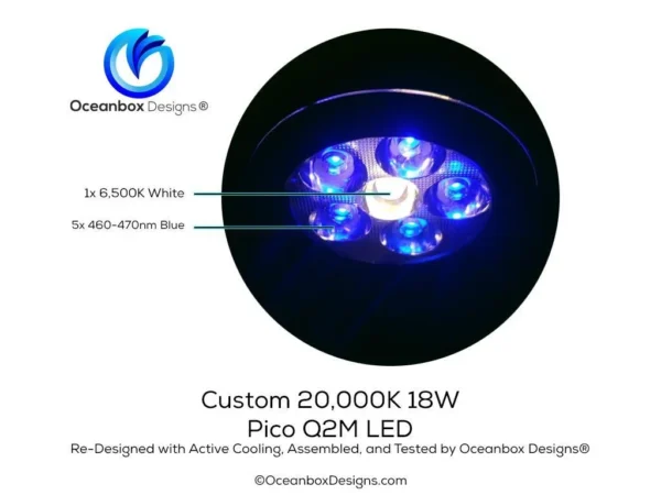 Q2M-Led-Light-OceanboxDesigns