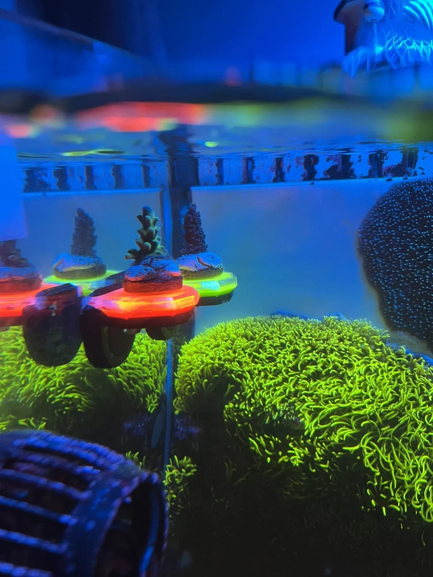 Image #2 from Fabio Conte