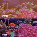 Pro-Lens-Hood-ReefLens-MKII-PRO-OceanboxDesigns-5