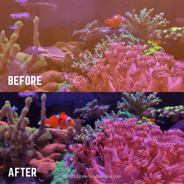 Pro-Lens-Hood-ReefLens-MKII-PRO-OceanboxDesigns-5