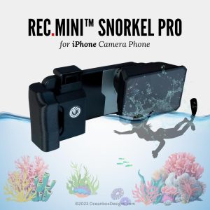 smartphone top down viewer for reef aquarium