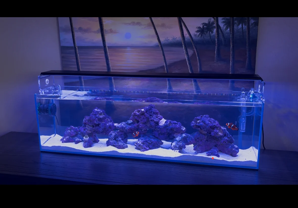 Image #1 from Lloyd B.