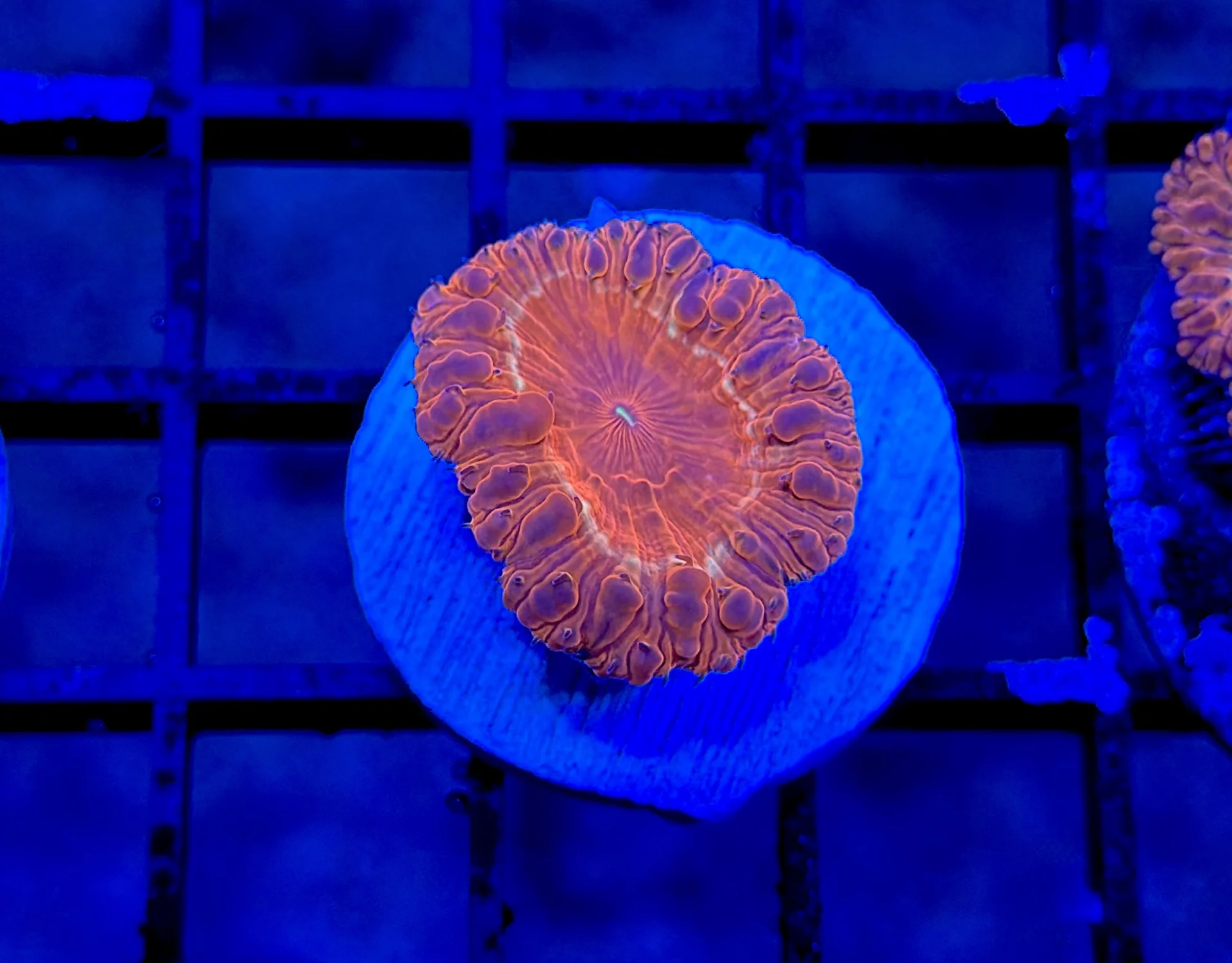 Image #3 from Stephen V.