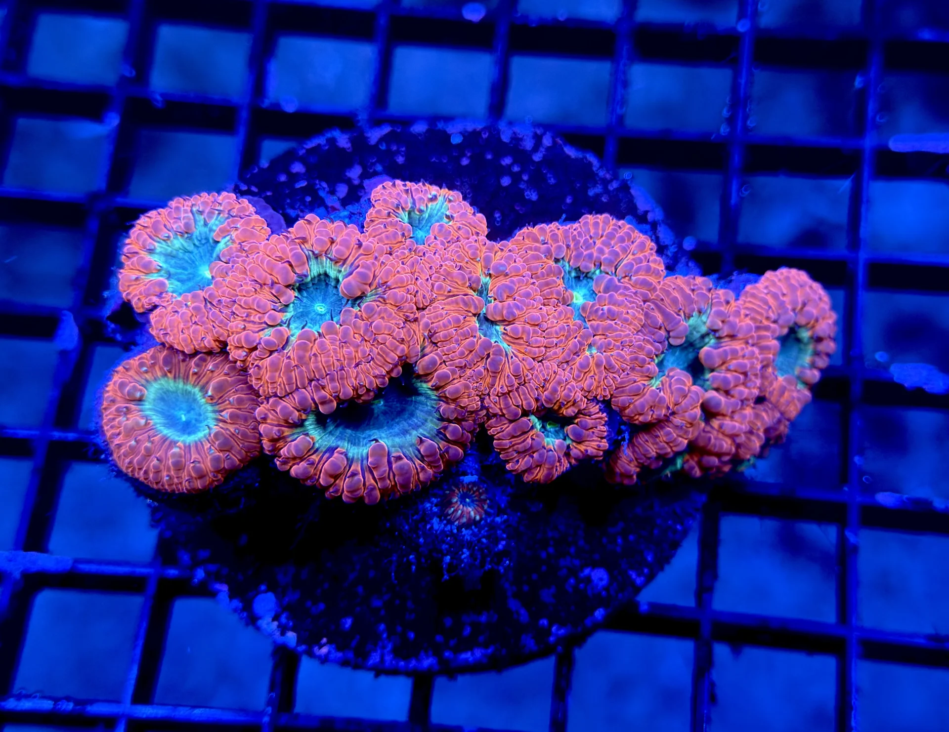 Image #2 from Stephen V.