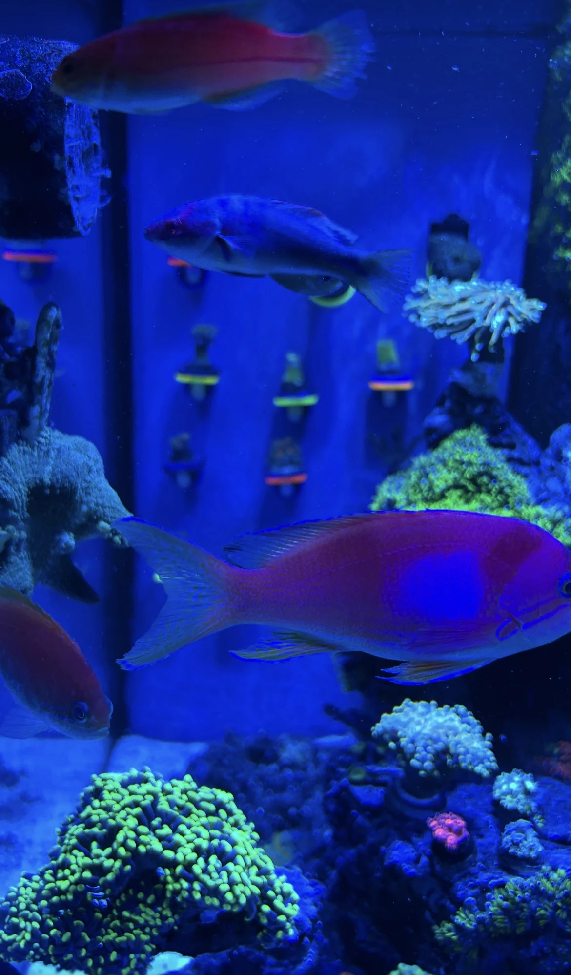 Image #1 from Tim C.