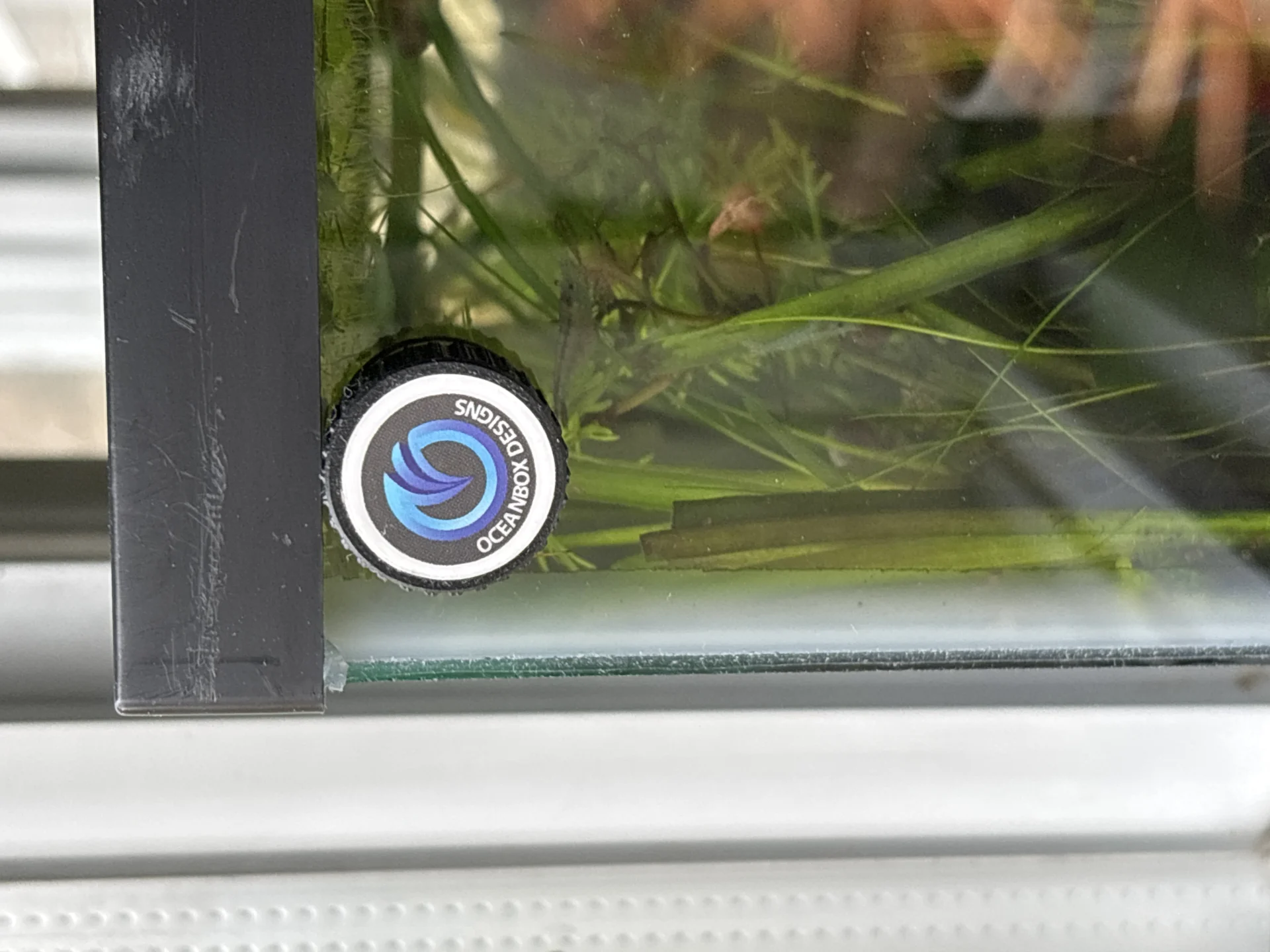 Image #1 from DEBRA Q.