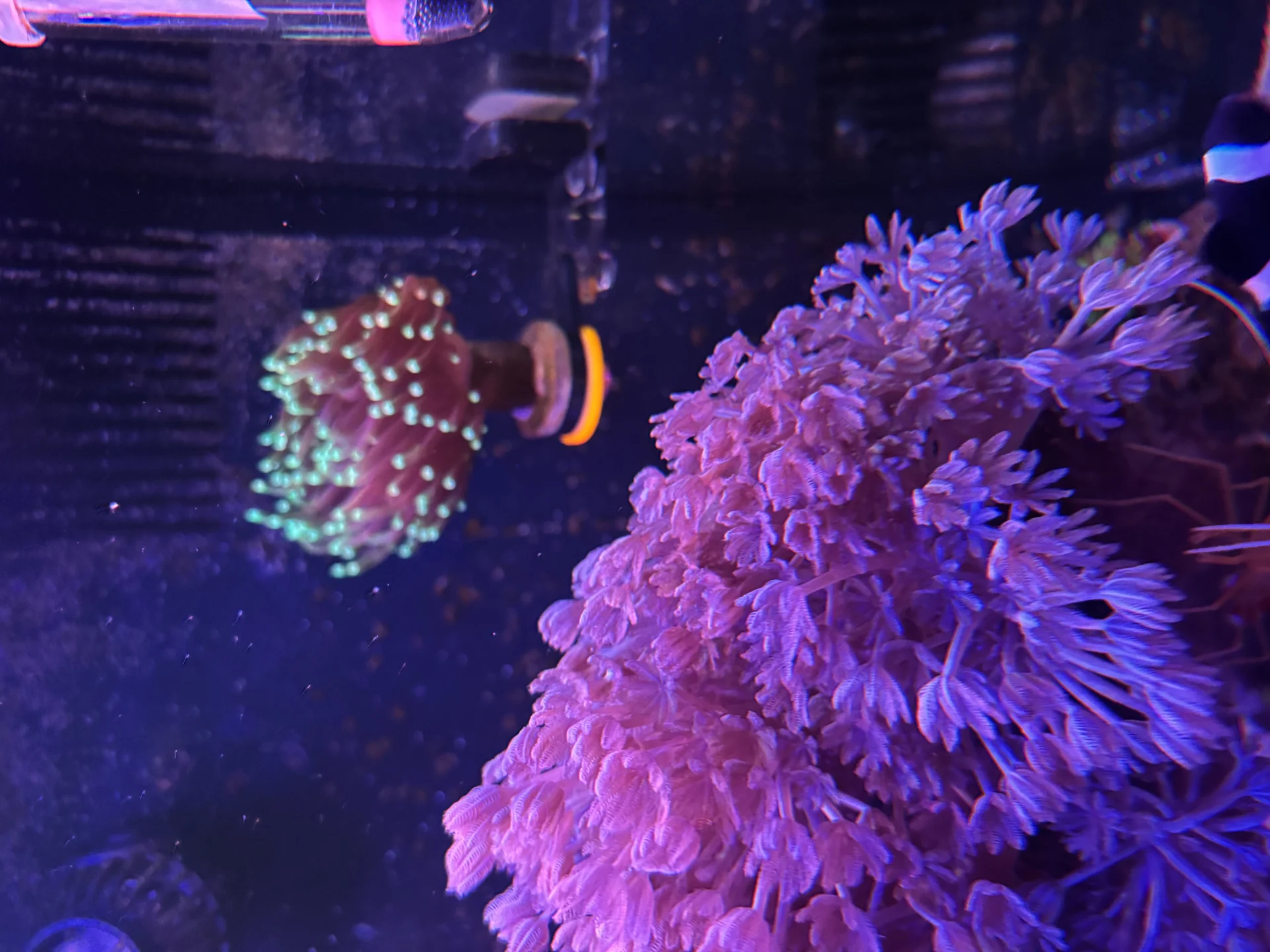 Image #2 from Scott S.