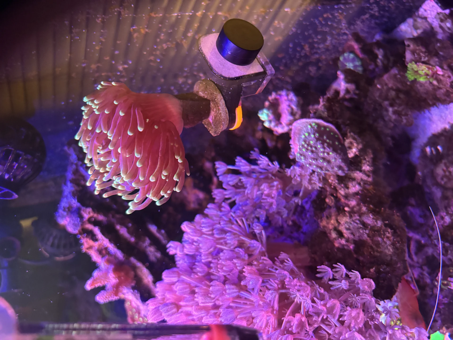 Image #1 from Scott S.