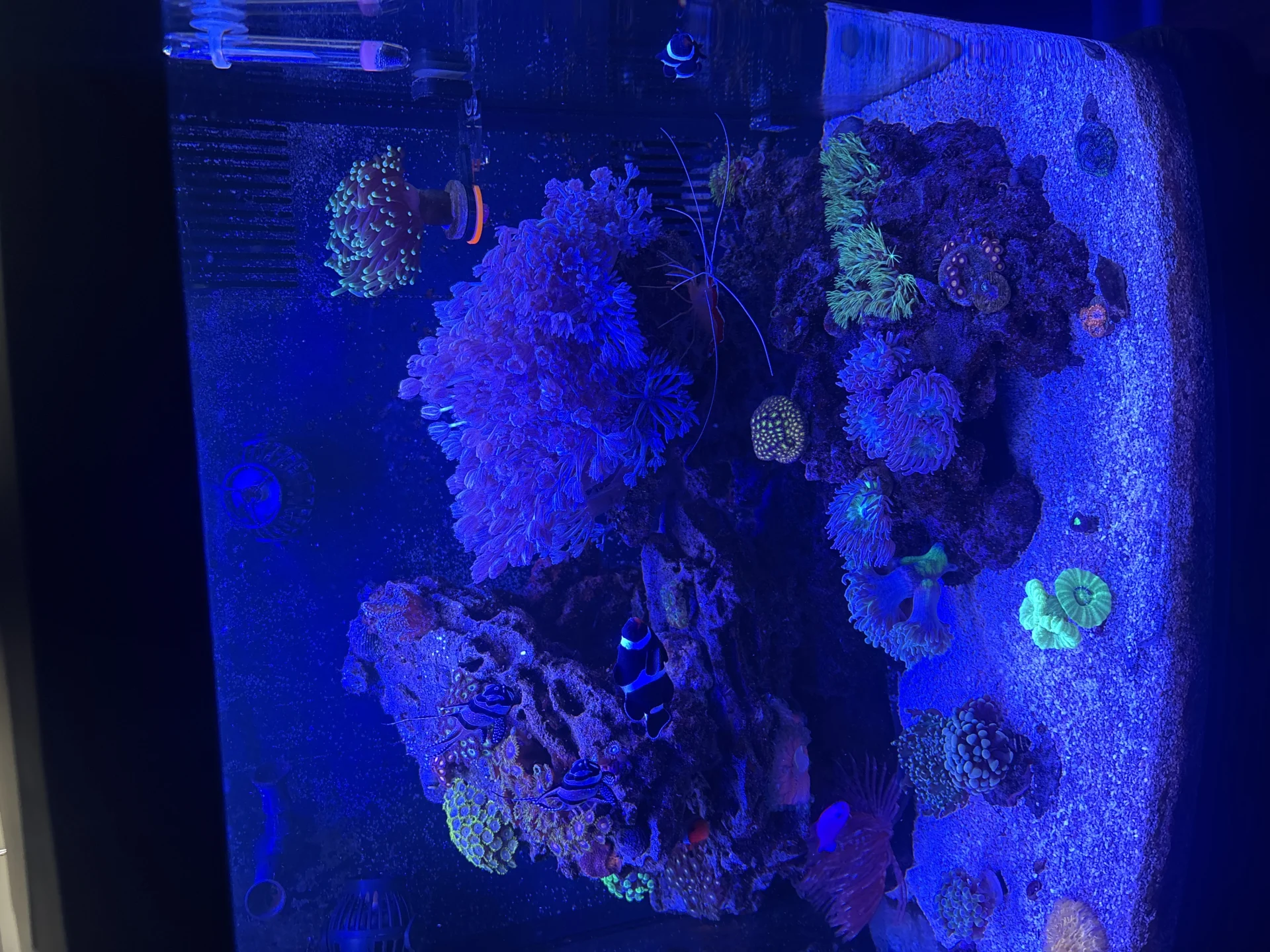 Image #3 from Scott S.