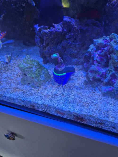 Image #1 from Brian A.