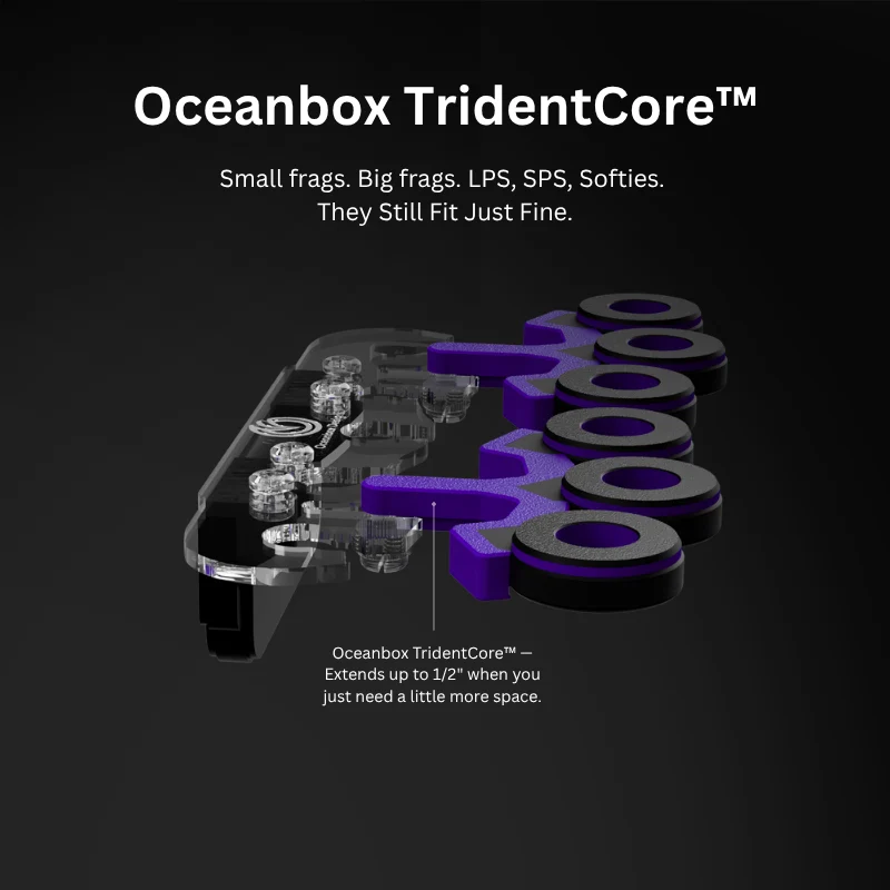Trident-M-Series-Magnetic-Frag-Rack-4-OceanboxDesigns
