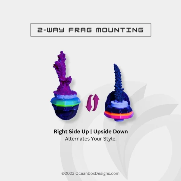 CoralOne-Infinity-Core-Single-Magnetic-Frag-Rack-2-OceanboxDesigns