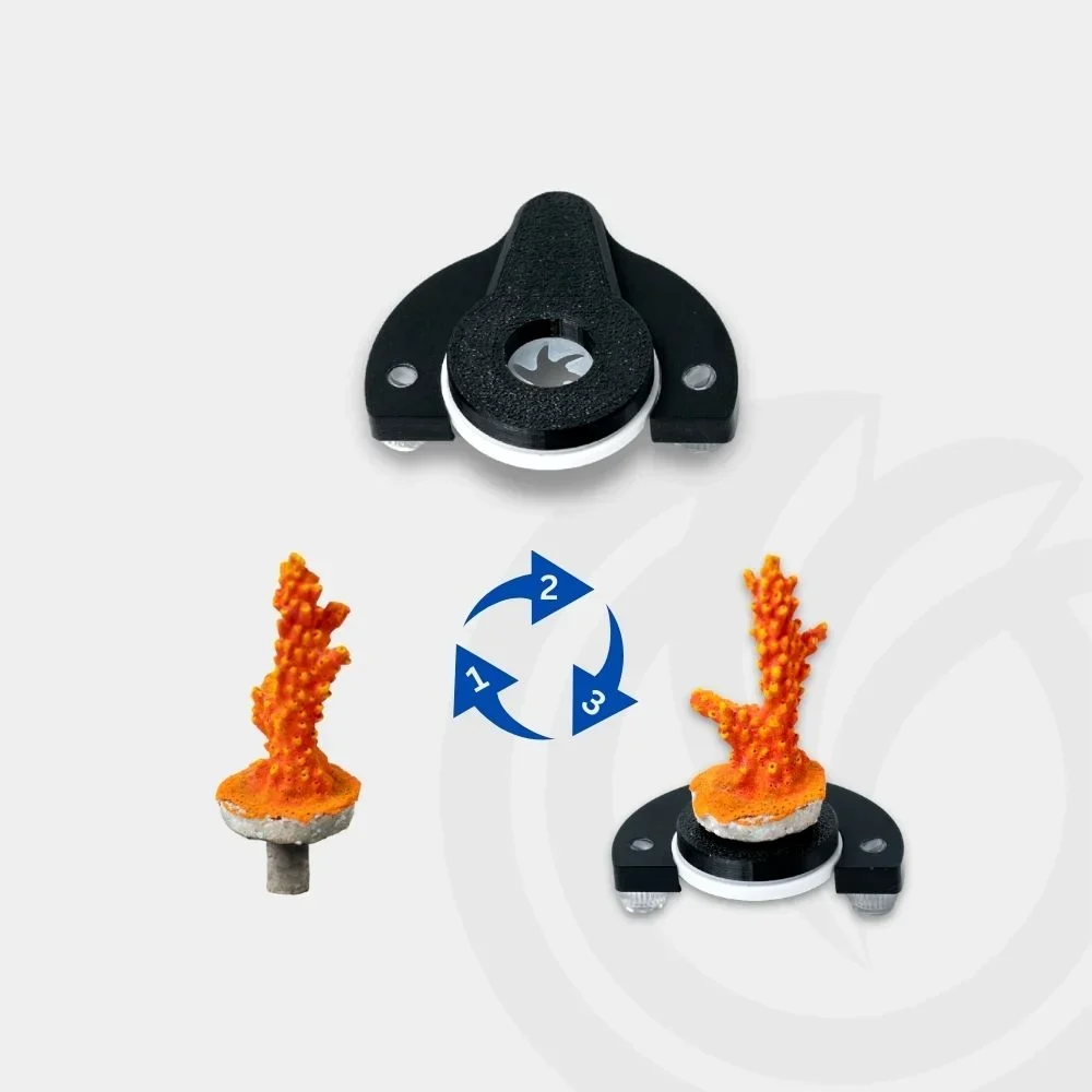 CoralOne-POD-Modular-Solo-Frag-Stand-Classic-2-OceanboxDesigns