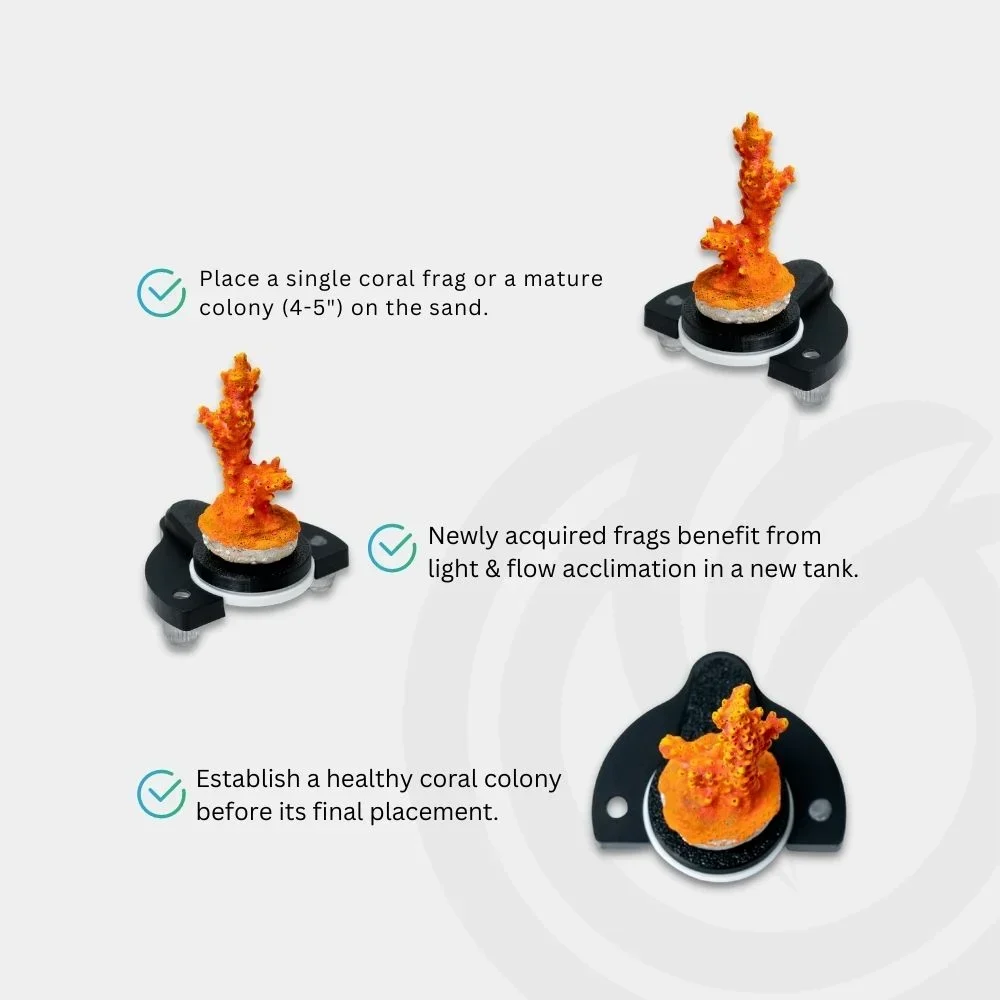 CoralOne-POD-Modular-Solo-Frag-Stand-Classic-3-OceanboxDesigns
