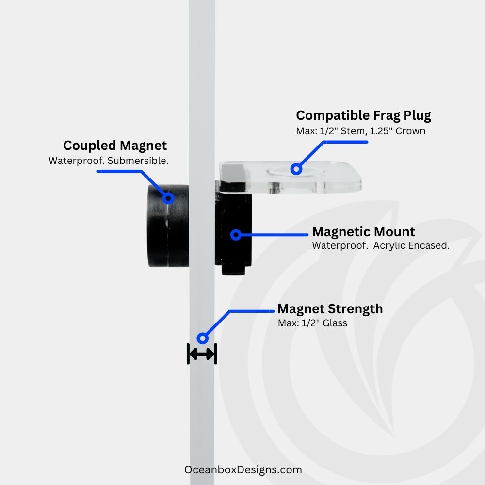 CoralOne-Single-Magnetic-Frag-Rack-Clear-2-OceanboxDesigns