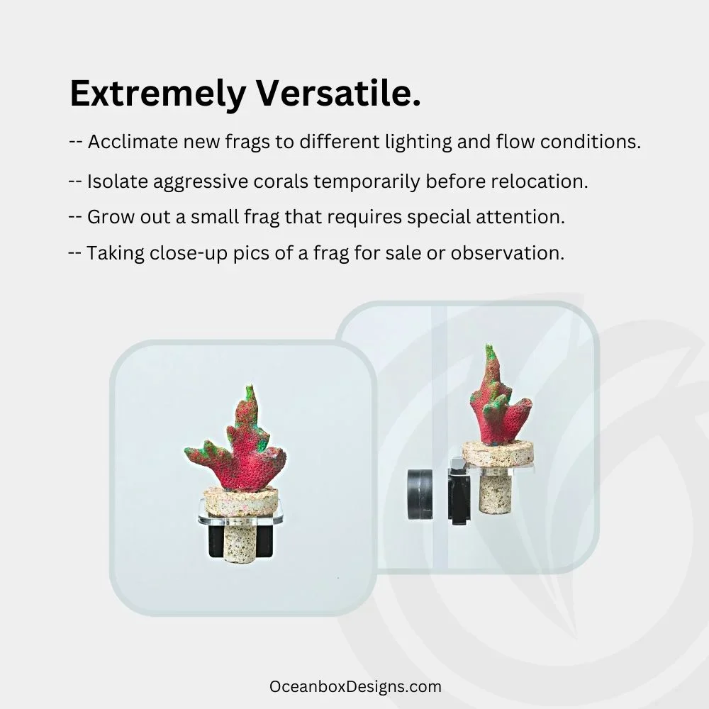 CoralOne-Single-Magnetic-Frag-Rack-Clear-3-OceanboxDesigns