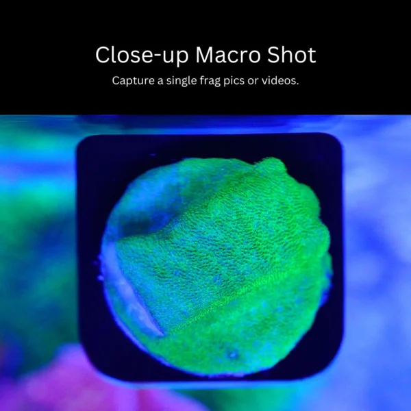 CoralOne-Single-Magnetic-Frag-Rack-Photography-OceanboxDesigns