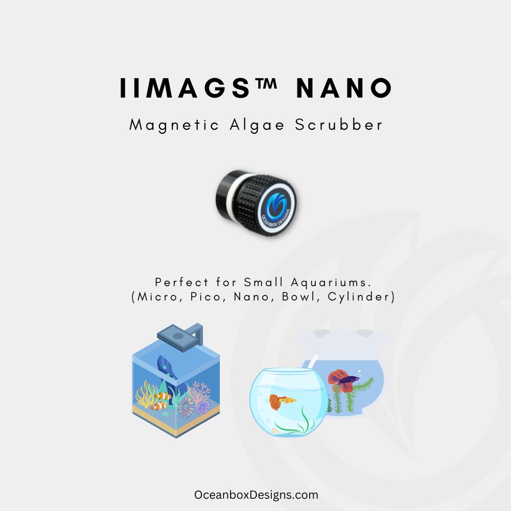 IIMAG-Nano-Aquarium-Magnetic-Algae-Scrubber-OceanboxDesigns