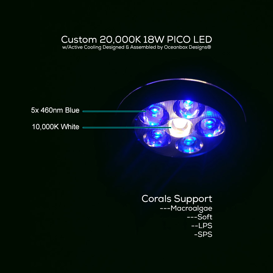 MicroTank-Custom-LED-OceanboxDesigns